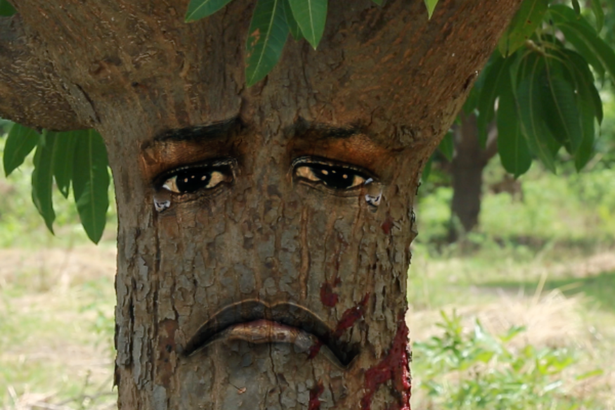 « 16 jours d’activisme contre la violence basée sur le genre » avec le musée de la Femme Muso Kunda